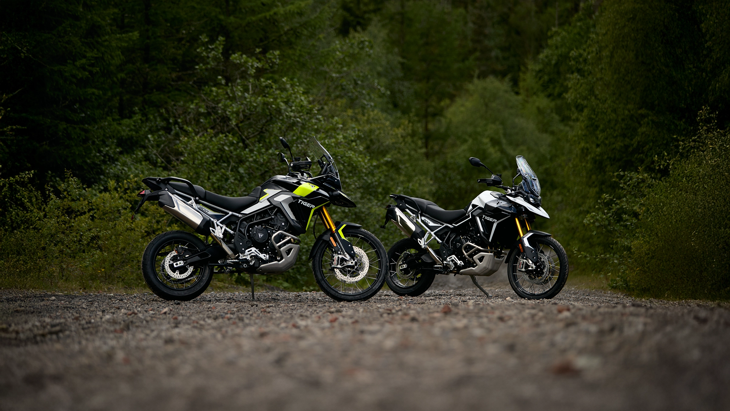 Triumph Tiger 900 Rally Pro